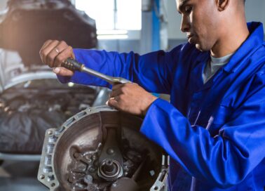 WhatsApp Image 2026-03-31 at 4.57.03 PM