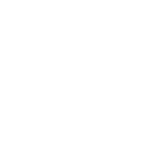 _0013_binyan_logo